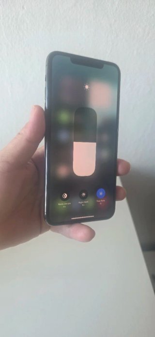 iPhone 11 Pro Max 256GB Night Green