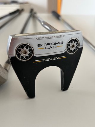 Lote 5 Palos Golf (Driver Maderas Putters)