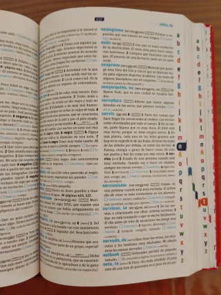 Diccionario Básico Primaria. Lengua española