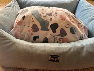 Cama y piscina para perro Yagu azul y multicolor
