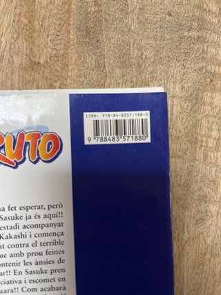 Naruto 13