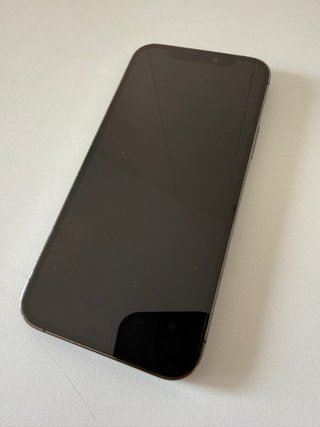 iPhone 12 Pro Gris