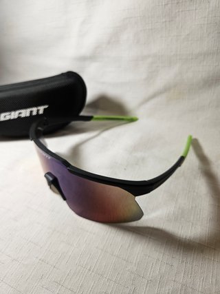 Gafas de sol Giant