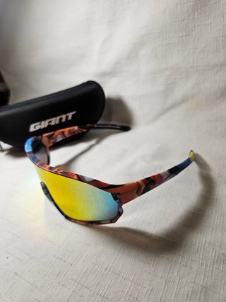 Gafas de sol Giant multicolor