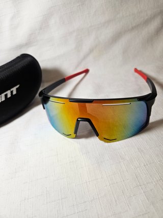 Gafas de sol Giant
