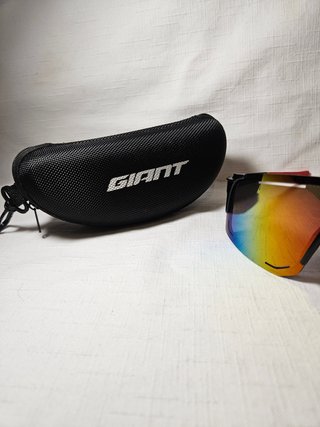 Gafas de sol Giant