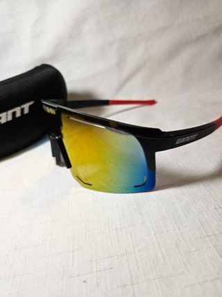 Gafas de sol Giant