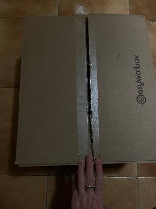 EasyWallbox Free2move 7,2 kW 32A NUEVO + cable