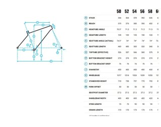 Bicicleta gravel Marin Nicasio I 2025 talla 50