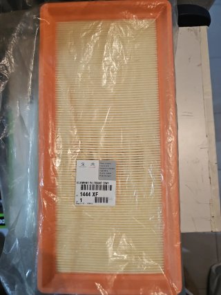 Filtro Aire Peugeot 1444 XF DW1