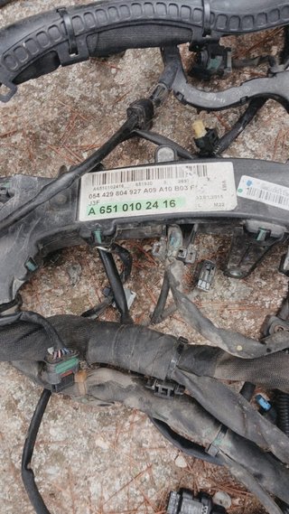 Cableado Motor Mercedes 651