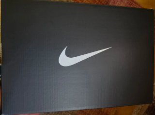 Nike Air Max Dn8 Premium Tiger Camo
