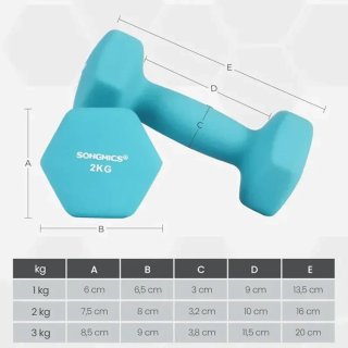 Mancuernas Hexagonales 1-3 kg con Soporte SONGMICS SYL612MK