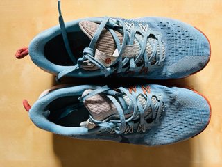 Zapatillas Nike Pegasus Trail