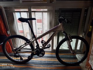 Bicicleta TEAM 24 poco usada