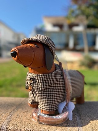 Bolso con forma de perro y gorro