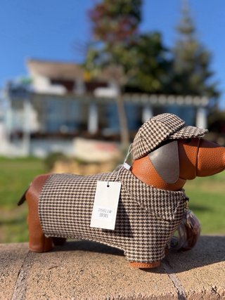 Bolso con forma de perro y gorro