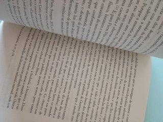 Os libros e a belleza: somos animais poéticos