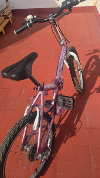 Bicicleta plegable niña/o