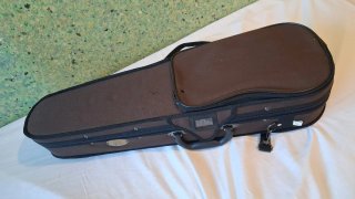 Violín Stentor 1/2