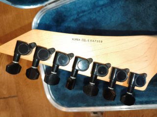 Guitarra Eléctrica ESP LTD M-207 (7 cuerdas)