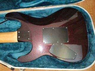 Guitarra Eléctrica ESP LTD M-207 (7 cuerdas)
