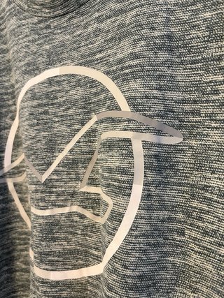 Camiseta Hollister Gris