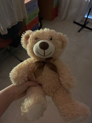 Peluche de Oso Beige