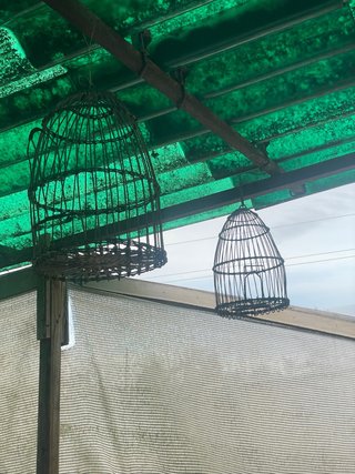 Jaulas artesanales para perdices/codornices