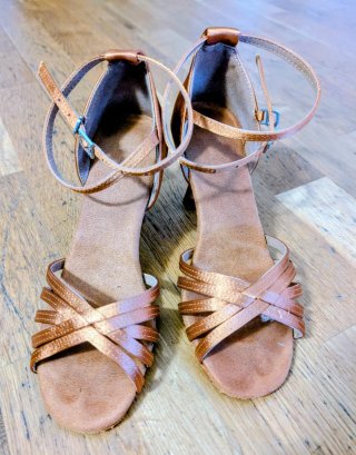 Zapatos de Baile Latino SWDZM