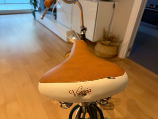 Bicicleta de paseo verde