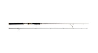 Caña Cinnetic Raycast XBR Sea Bass II 270M