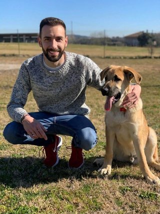 Adiestramiento canino | Educación canina amable