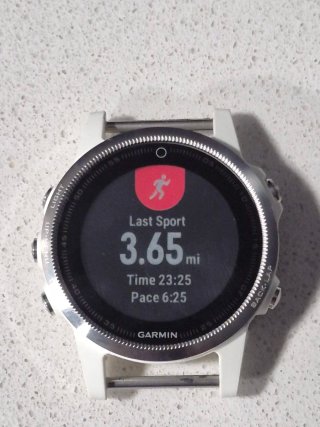Garmin Fenix 5S Blanco