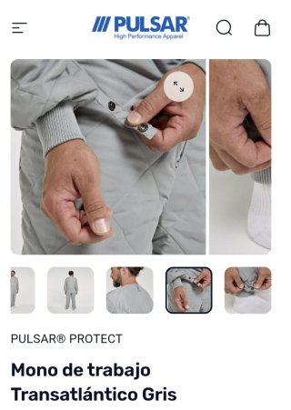 Mono de Trabajo Pulsar Protect Gris