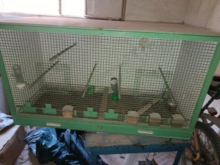 Jaula grande para pájaros