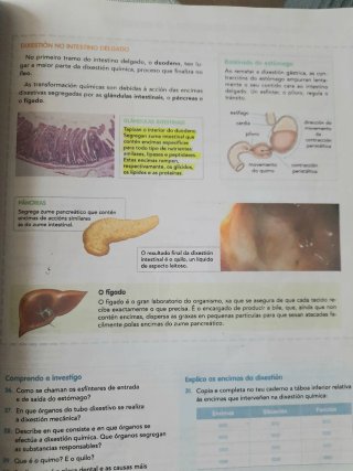 Bioloxía e Xeoloxía 3, ESO, Comunidade en rede