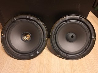 Bowers & Wilkins woofer (dos unidades)