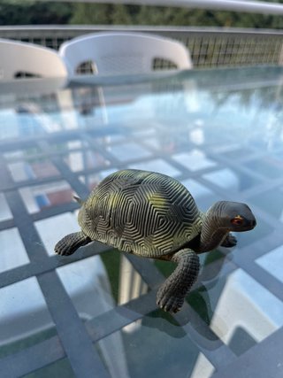 Regalo Tortuga de juguete