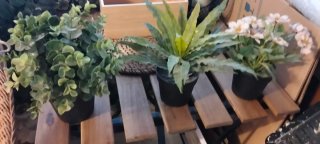 Plantas Artificiales Verdes y Rosas