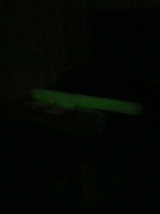 Barras de Espuma Luminosas Glow in the Dark