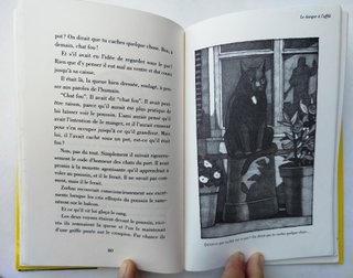 3 livres lecture 9-13 ans+CD. Jules V., Mouette