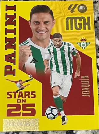 Cromo Panini Joaquín - Stars on 25