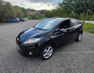 Ford Fiesta 2010 PEGATINA C