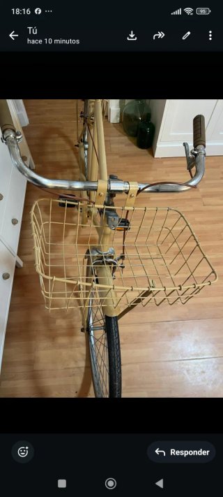 Bicicleta Antigua de Paseo