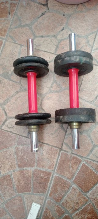 Set di 2 manubri componibili