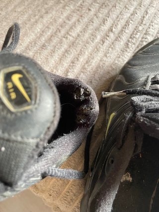 Zapatillas Nike Air Max TN Negras y Verdes