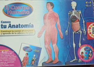 Juego Educativo El Cuerpo Humano