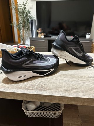 Zapatillas Nike Zoom Fly 6
