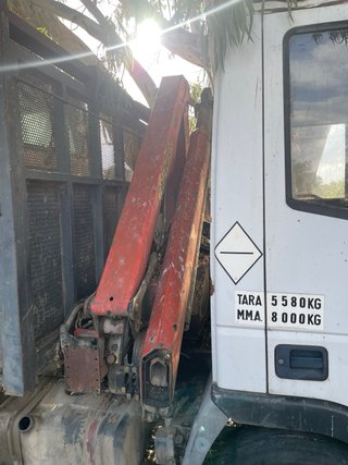 Camion grua vasculante
